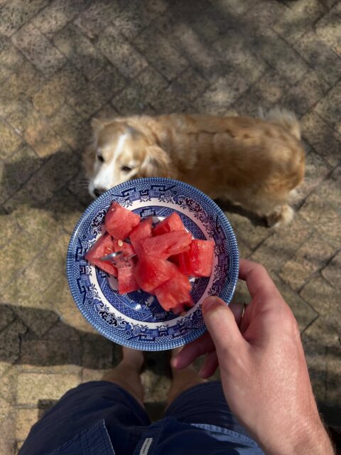 Somer is uiteindelik hier. Wel tenminste vir vandag.