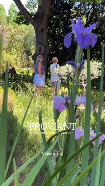 Soaking up the sun in Stellenbosch. Come along.